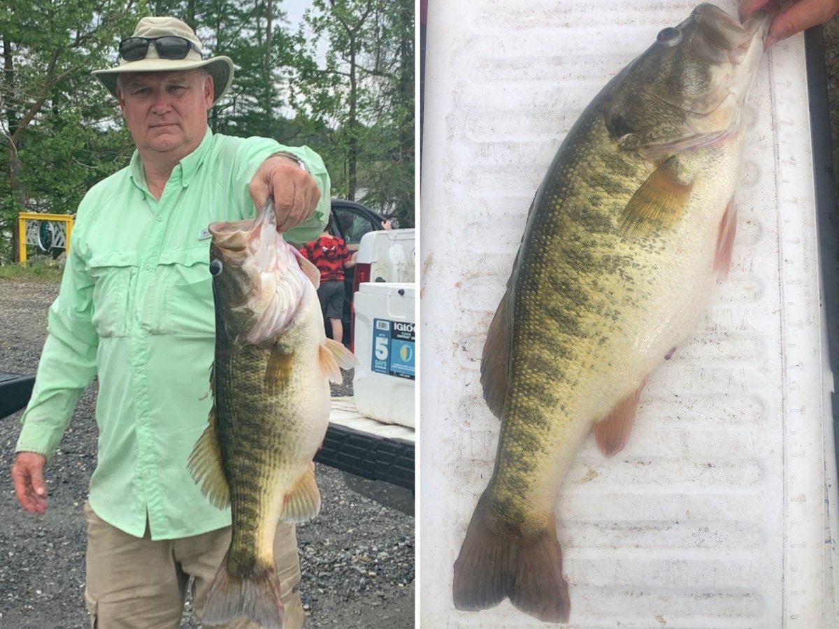 Giant 24-Inch Shoal Bass Caught by Georgia Man Ties State Record