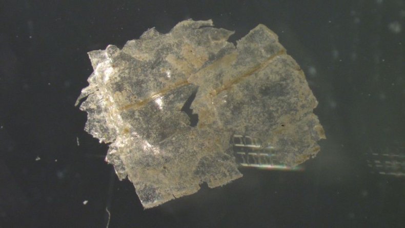 Microplastic article found in deep sea