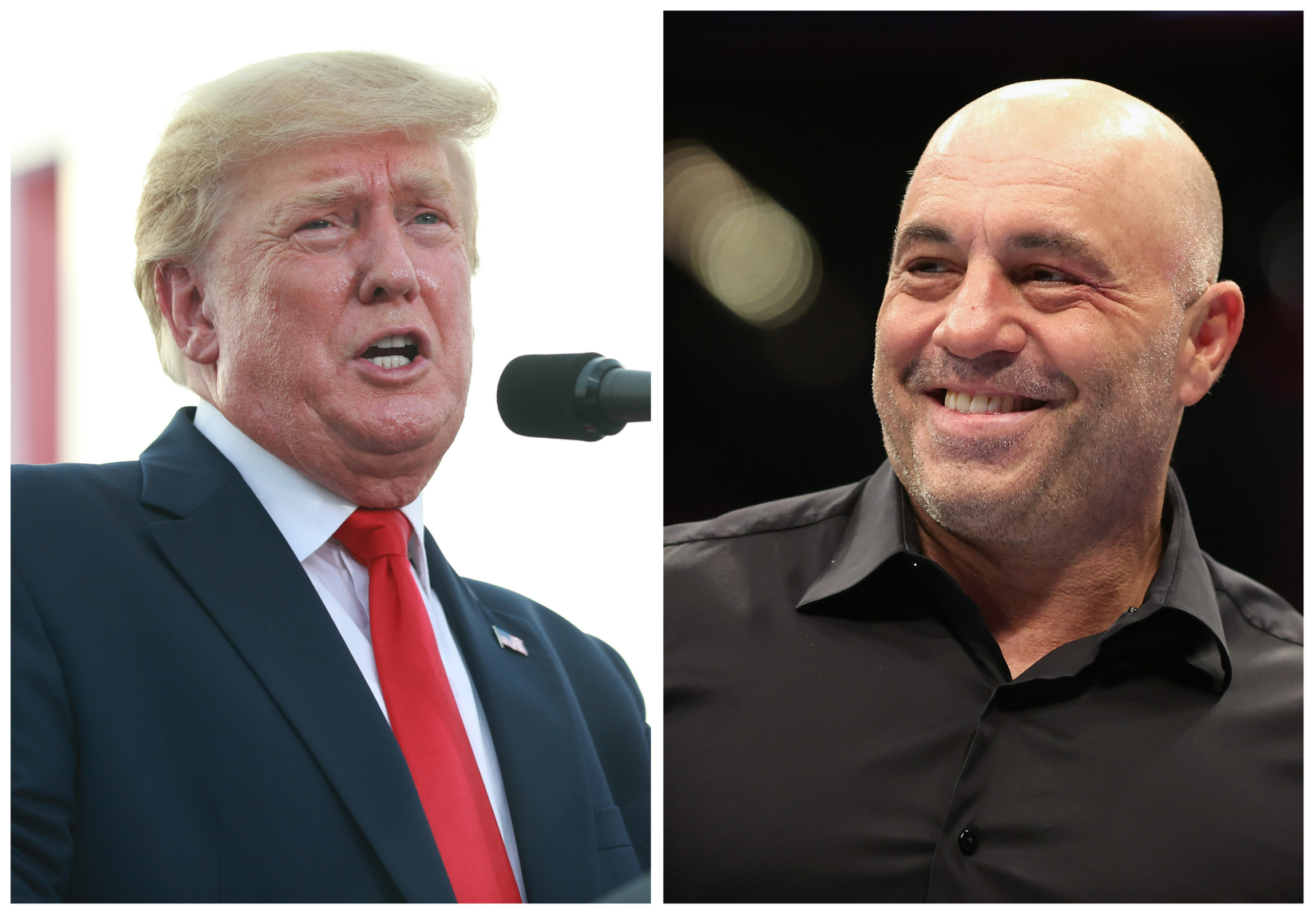 Video Of Joe Rogan Calling Donald Trump 'Man Baby' Viewed 100k Times ...