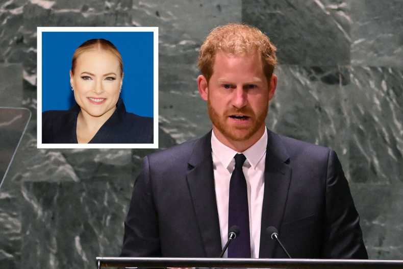 Prince Harry Speech at the UN Criticised