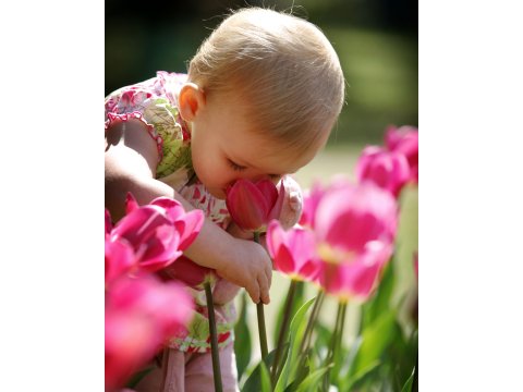 Card CUL Flowers Uncharted 14