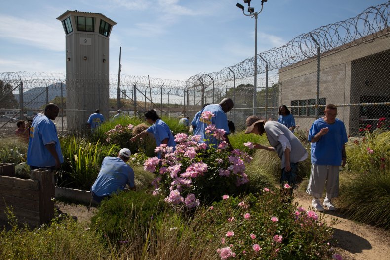 IGP prison garden
