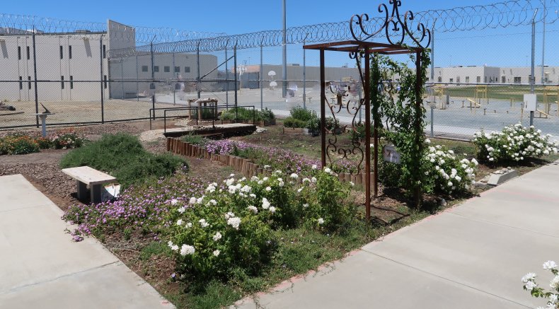 IGP prison garden flowerbed