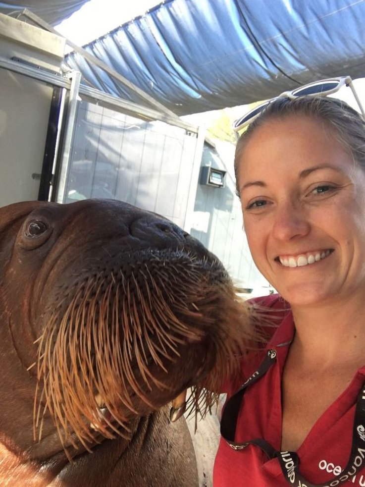 Kristyn Plancarte poses with walrus in Vancouver