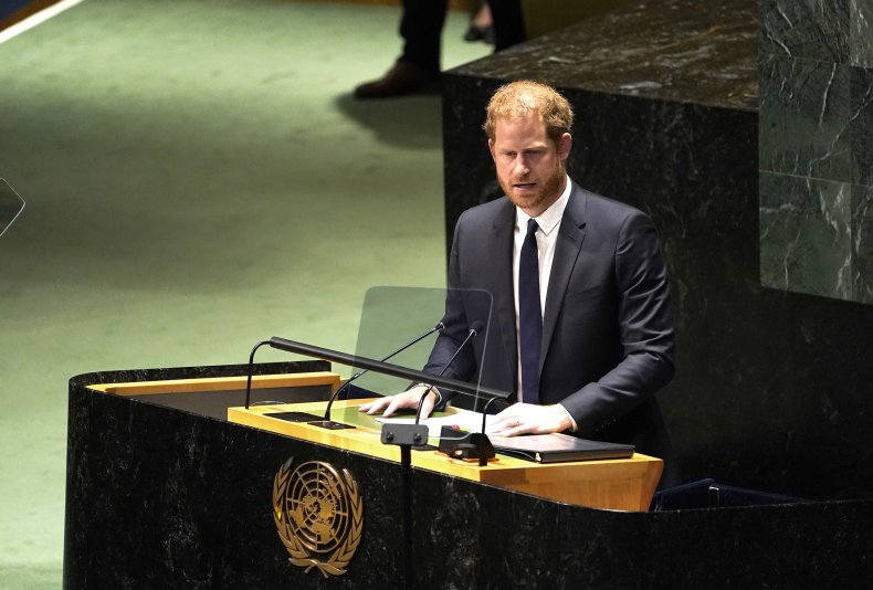 Prince Harry UN Address Honoring Nelson Mandela
