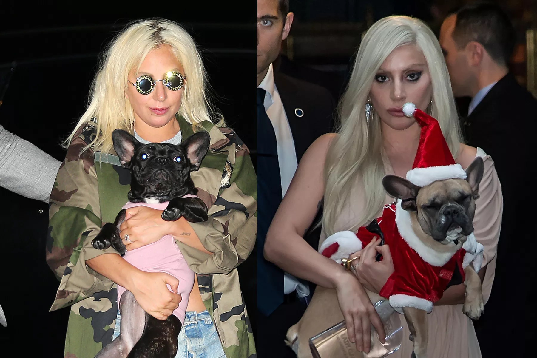 Reward For Alleged Shooter of Lady Gaga's Dog Walker After Release Error - Vimarsana News