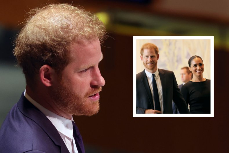Prince Harry at the United Nations