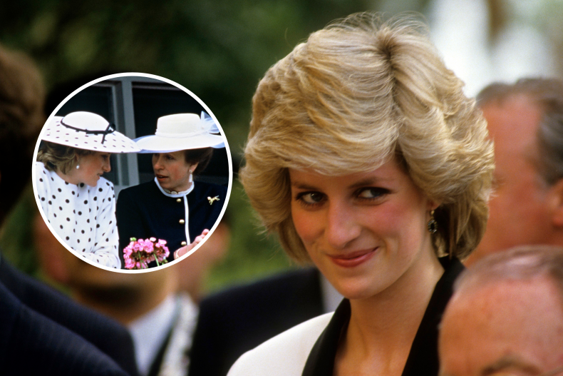Princess Diana Addresses Royal Feud Rumor 