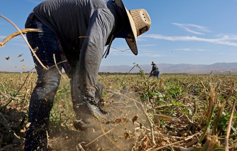 Farmers Heatwave Crops Farms