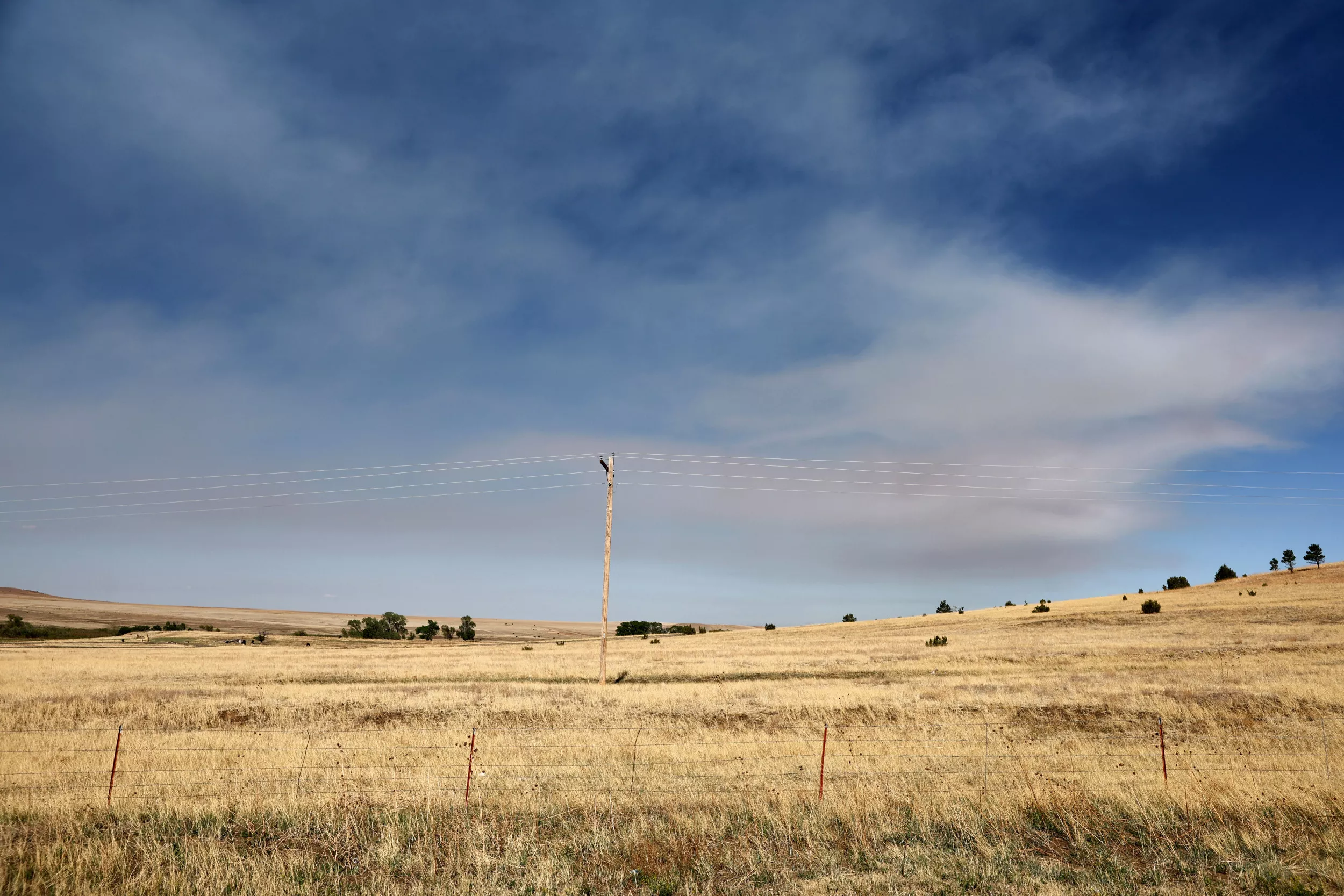 Expropriate China-Owned Farmland in America - Vimarsana News