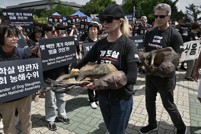 Kim Basinger protests in South Korea