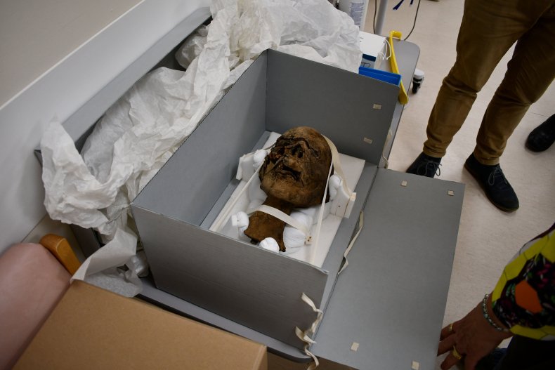 Mummy's head found in attic