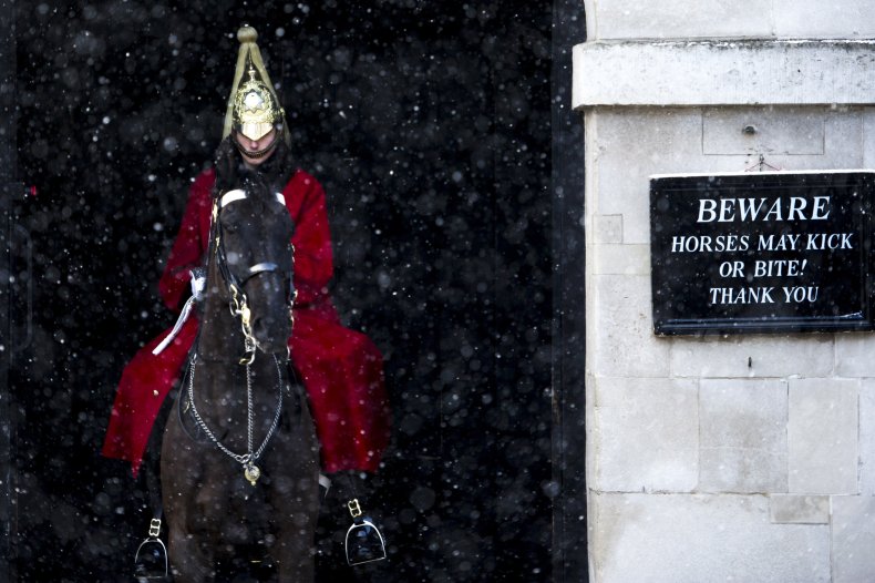 Queen's Guard
