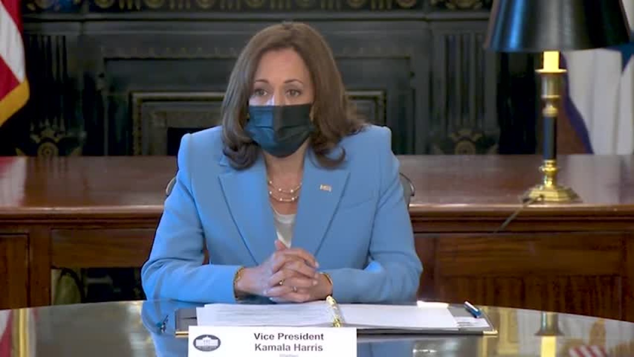 Fact Check: Did Kamala Harris Announce Her Pronouns and Outfit in Meeting?