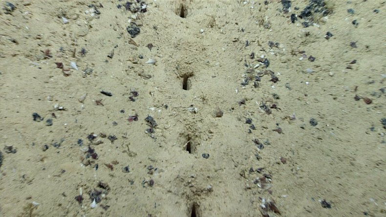 Holes in ocean floor