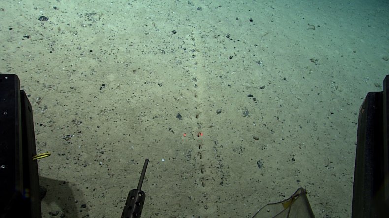 Holes in ocean floor