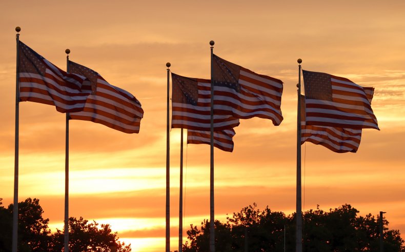 Group of American flags