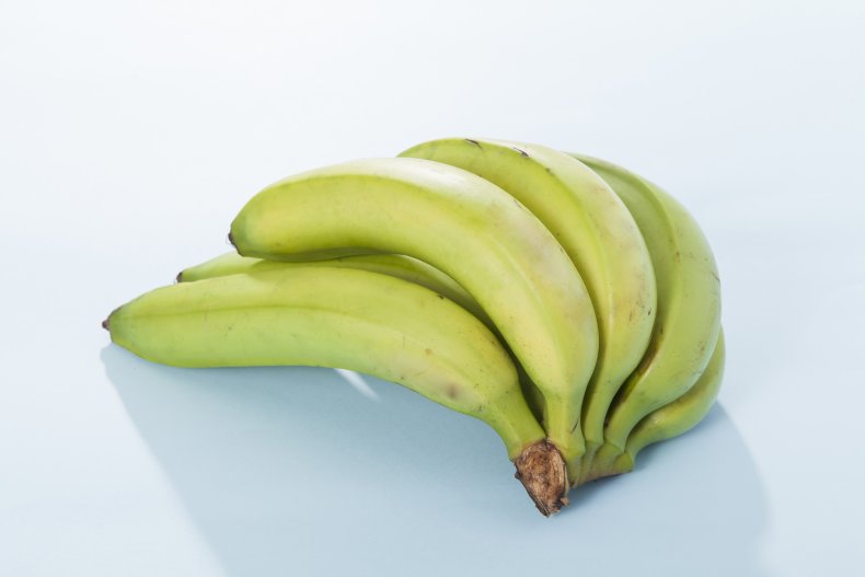 A bunch of unripened, green bananas.