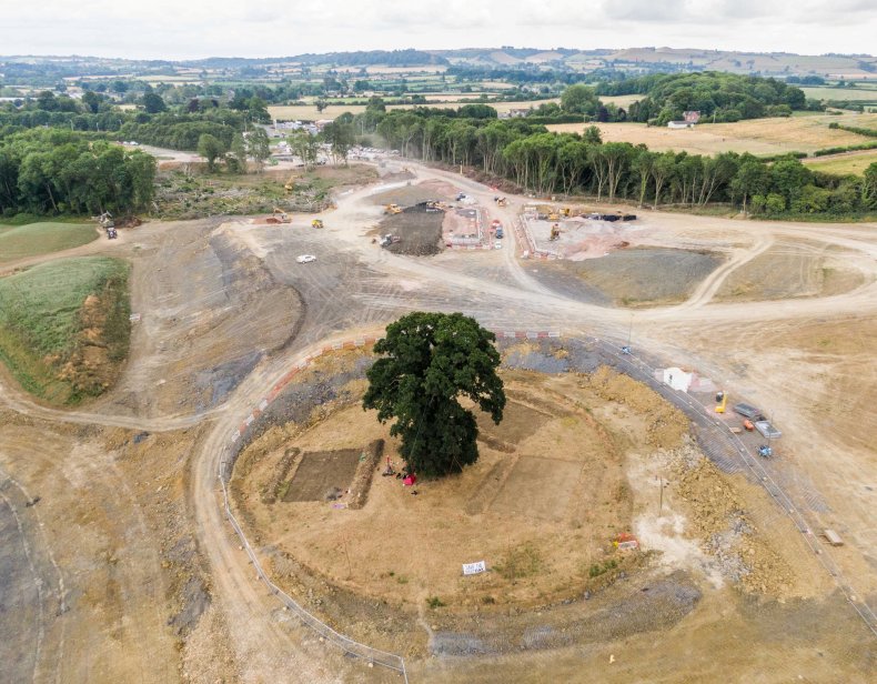 pThe ancient Oak near Queen Camel in Somerset, England, is being guarded by protesters. Undated photograph. (SWNS/Zenger)/p