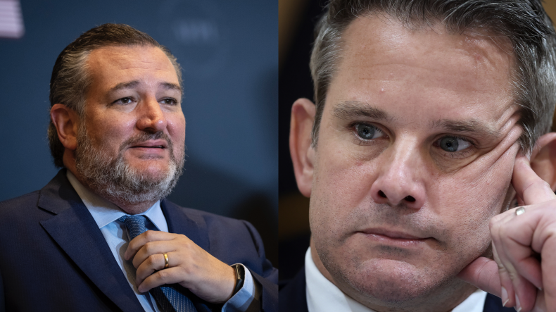 Ted Cruz and Adam Kinzinger