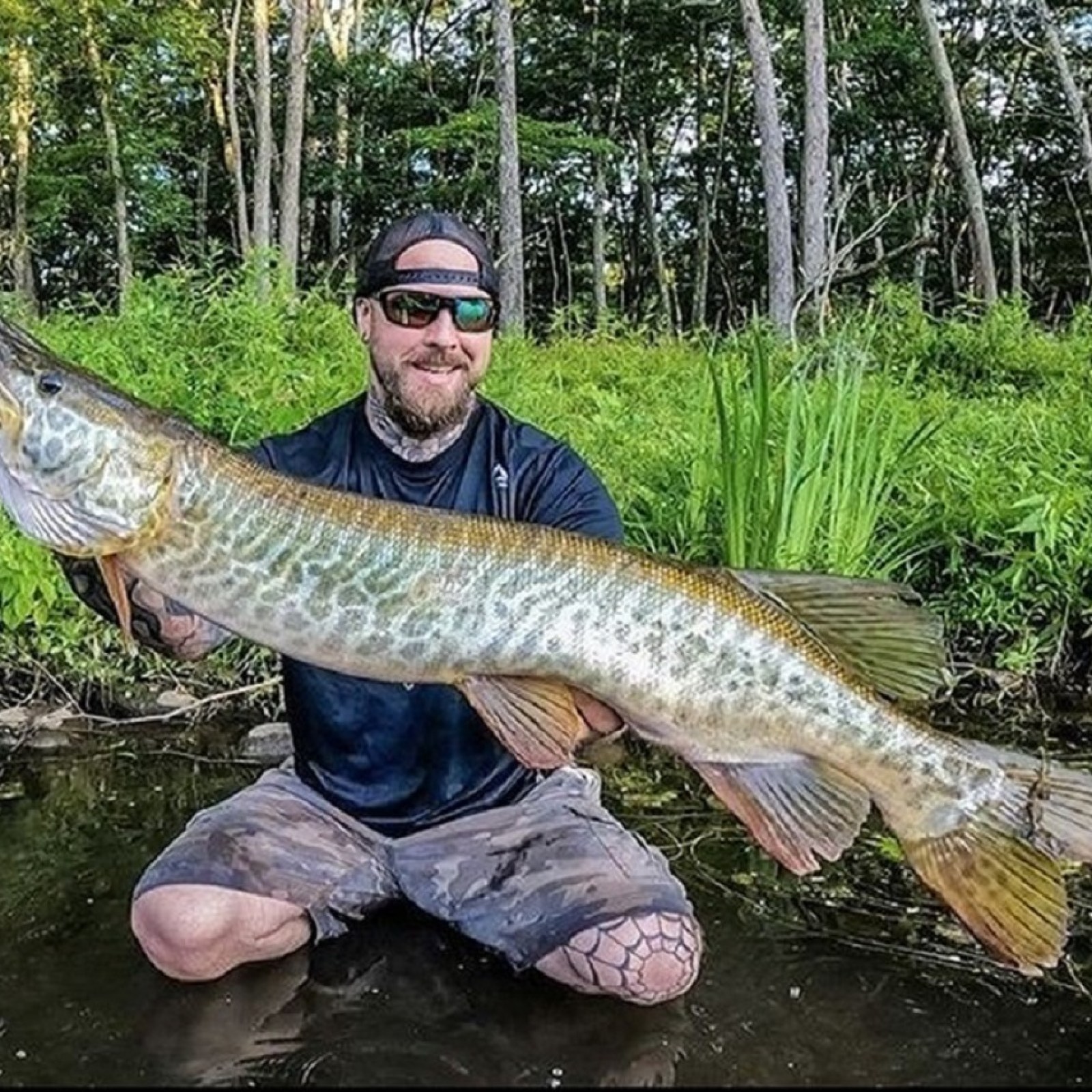 Angry Monster Tiger Muskie Caught by Connecticut Fisherman