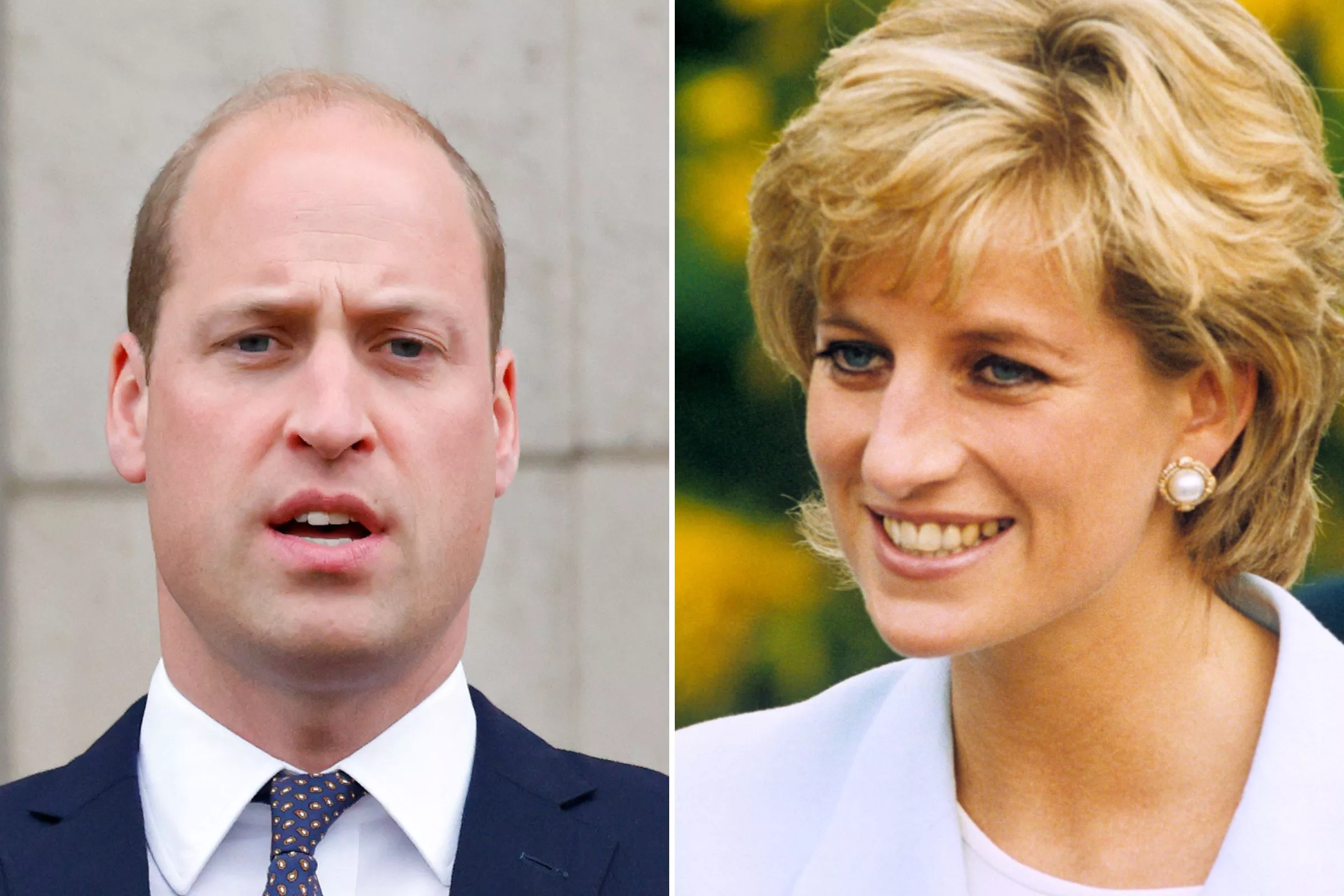 Prince William Accused of Muzzling Diana by Biographer Who Told Her Story - Vimarsana News