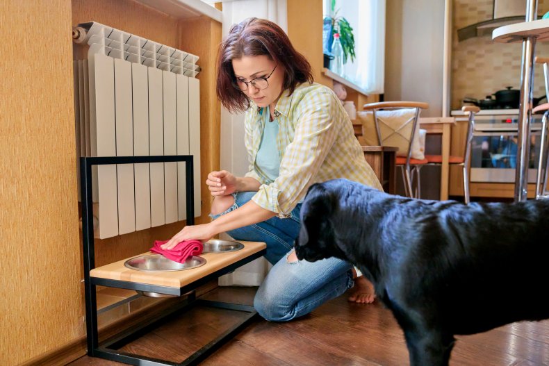 Woman cleaning dog bowls in house. 