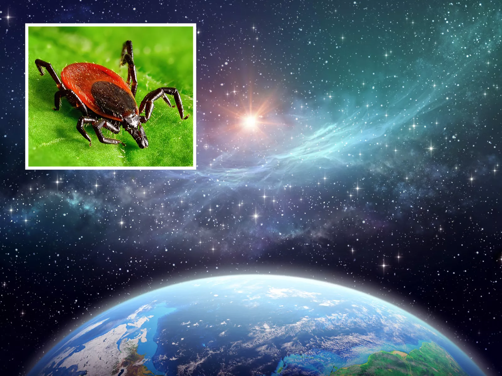 Influencers Attributing Lyme Disease to 'Intergalactic Substance' Go