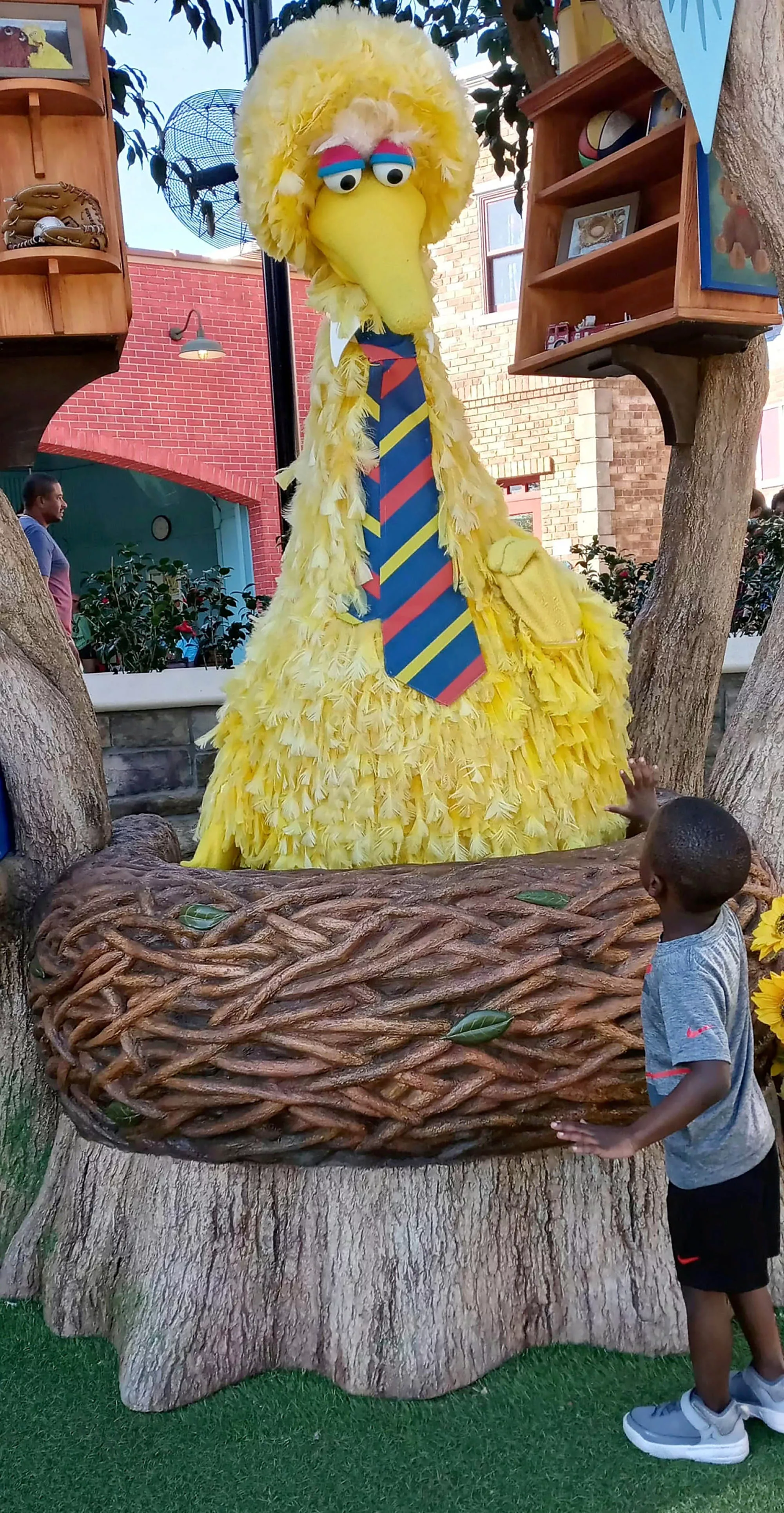Sesame Street Hit by More Claims of Racist Behavior After Parents Say Son Ignored - Vimarsana News