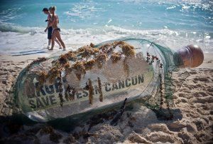 cancun-bottle-united-nations-cop-16