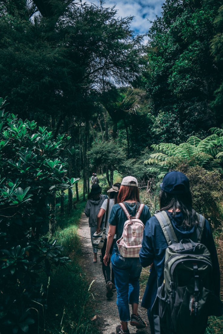 Hikers in forest
