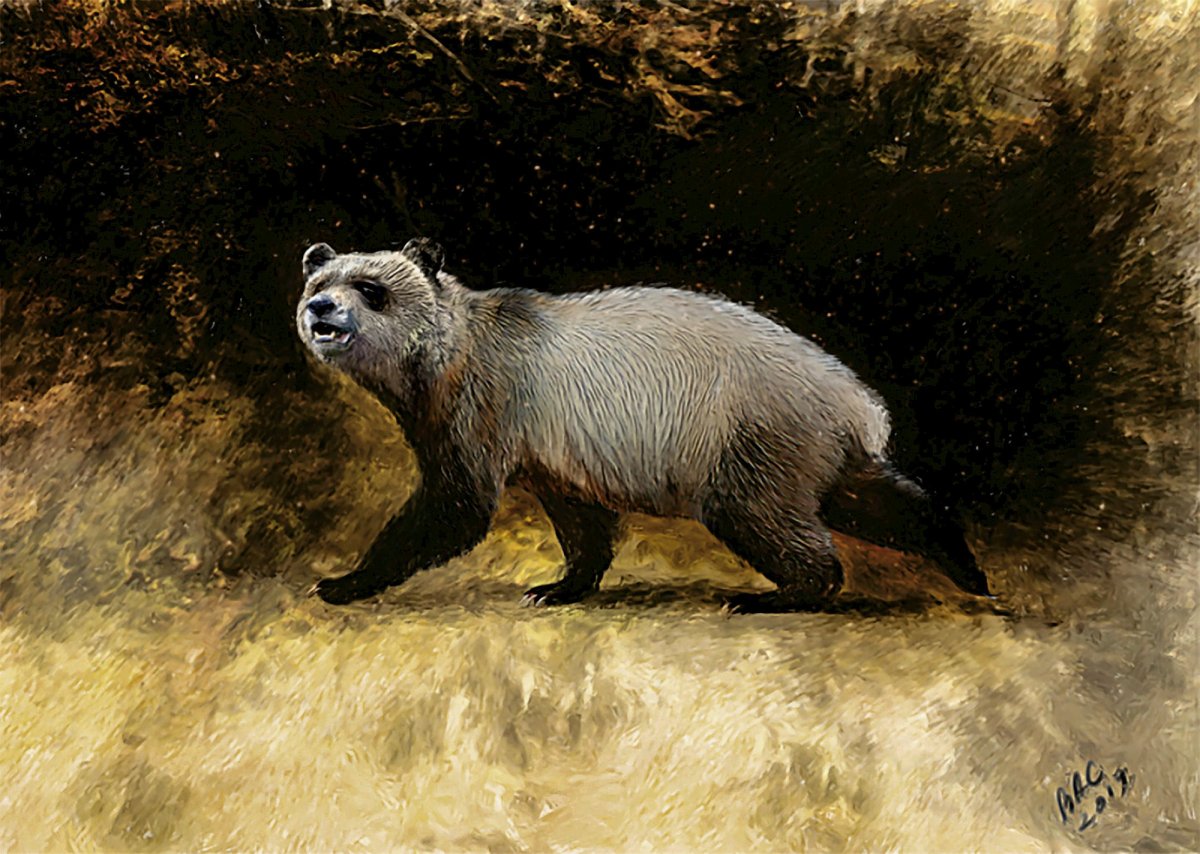 Giant prehistoric panda shown in illustration