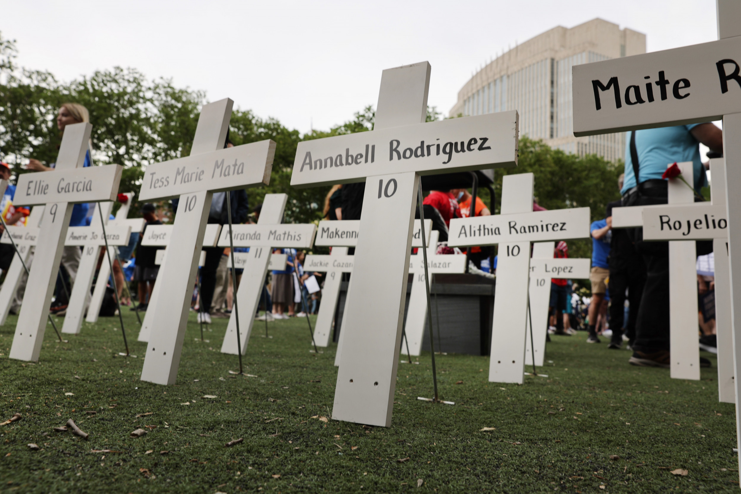 Opinion gap. Gun violence.