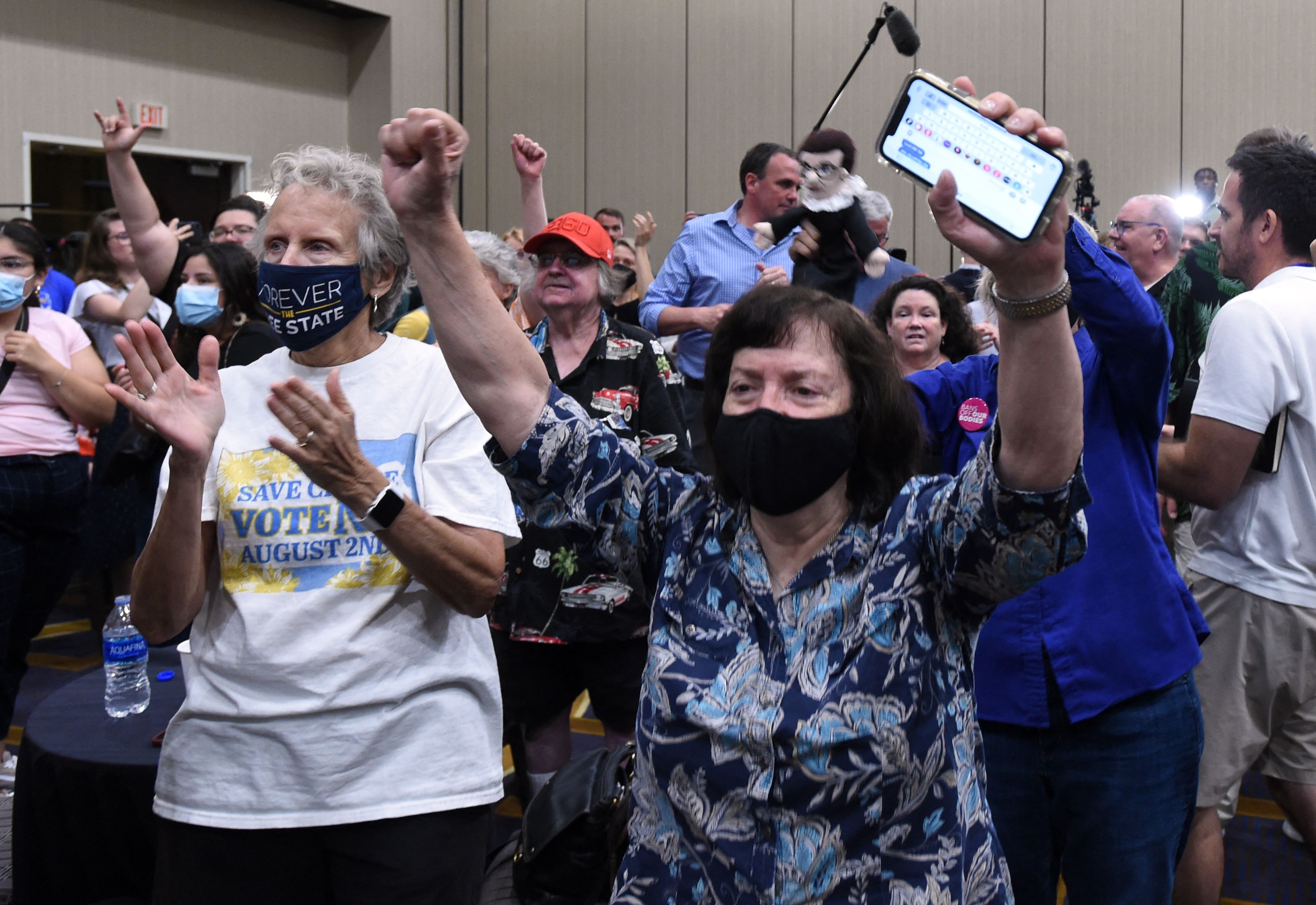On Abortion, the GOP is the Dog that Caught the Car | Opinion
