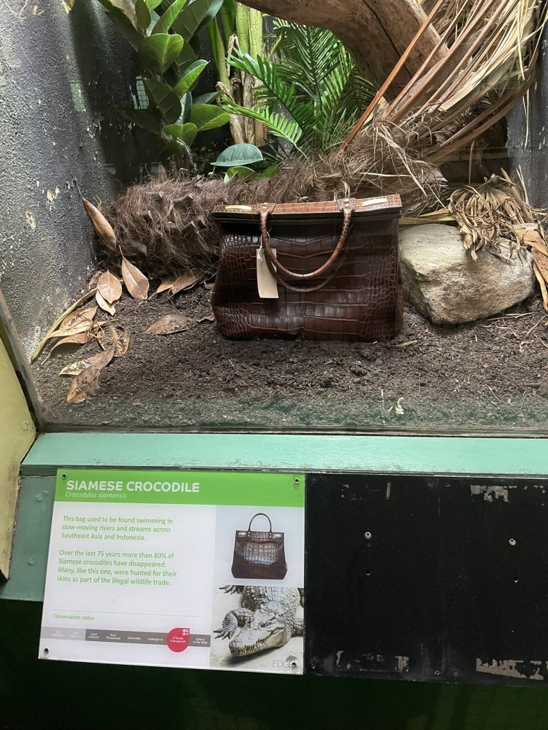 Zoo Explains Handbag Living Inside Enclosure