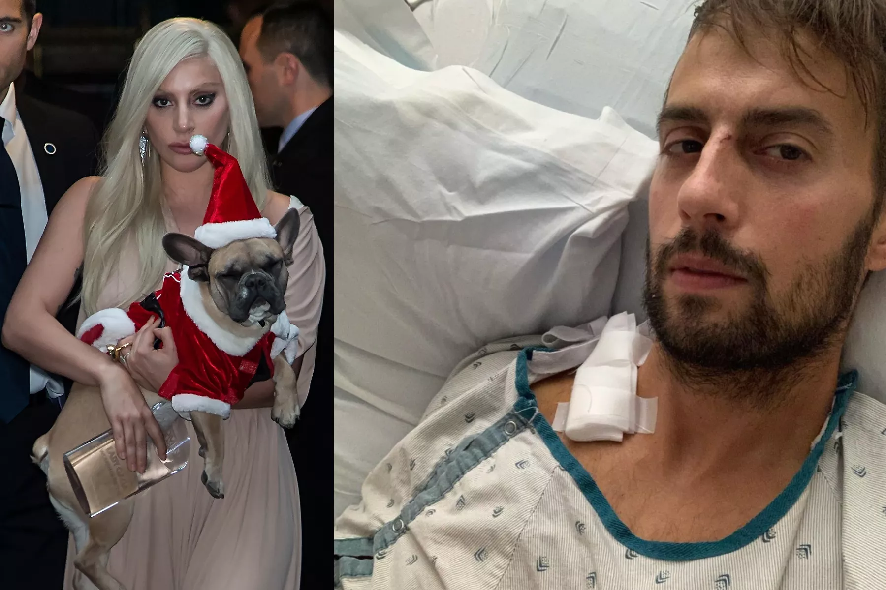 Teen Charged With Shooting Lady Gaga's Dog Walker Captured - Vimarsana News
