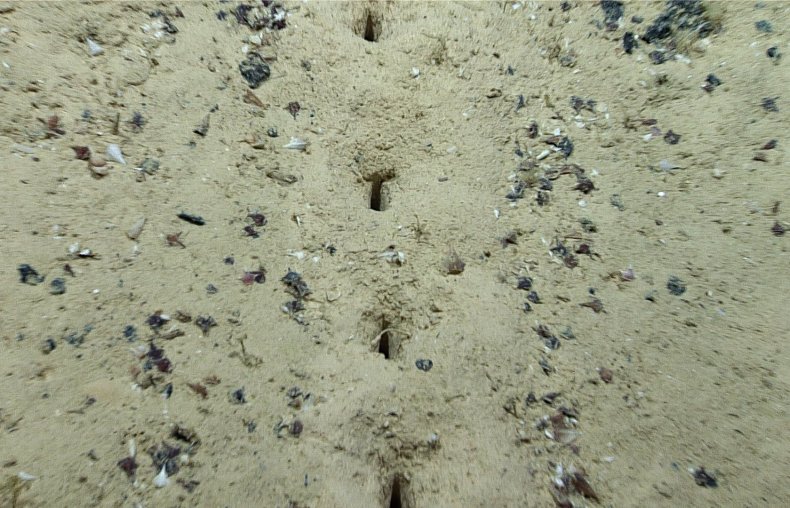 Underwater holes Underwater holes