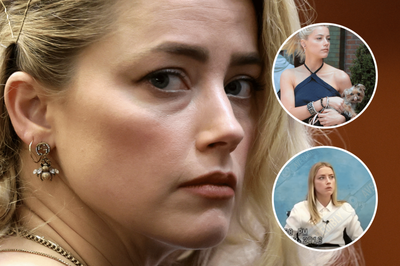 Amber Heard and pictures of testimony dog