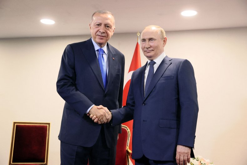 Putin, Erdogan Meet in Sochi