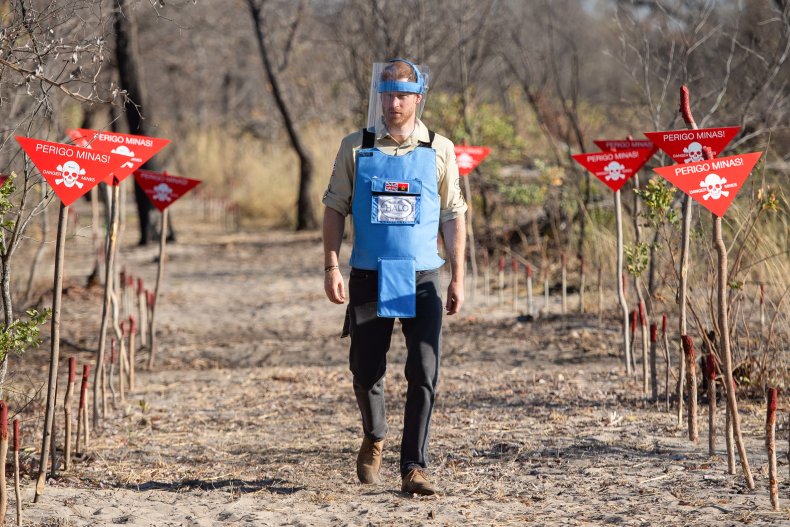 Prince Harry Angolan Minefield