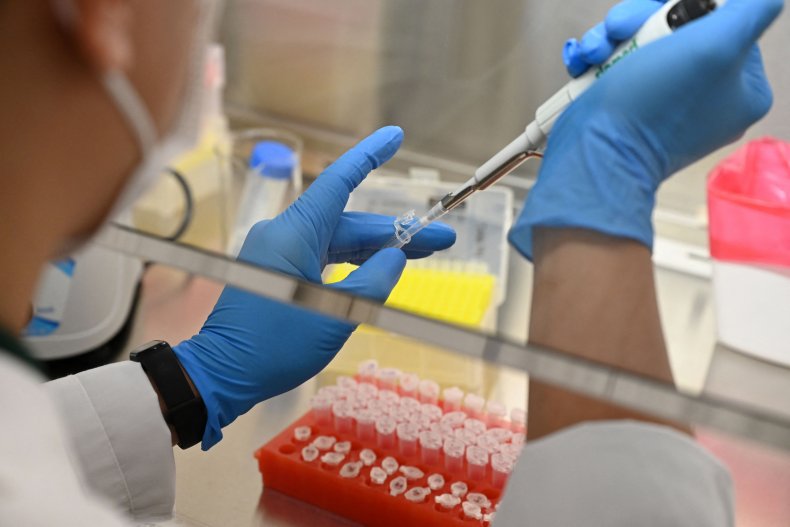 A staff member tests a DNA sample