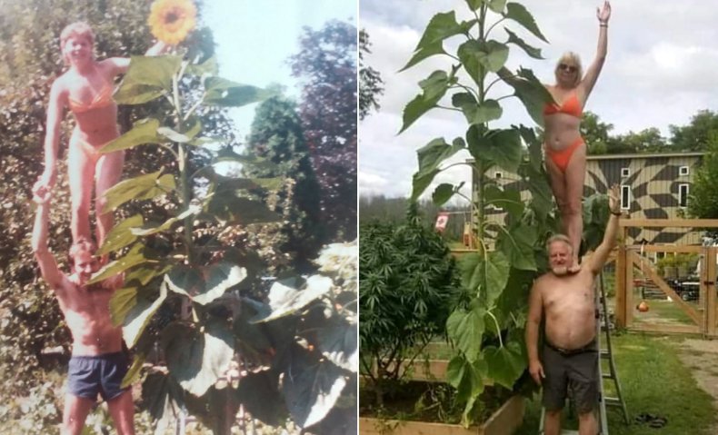 Paul and Sandy Szewc pose with sunflower