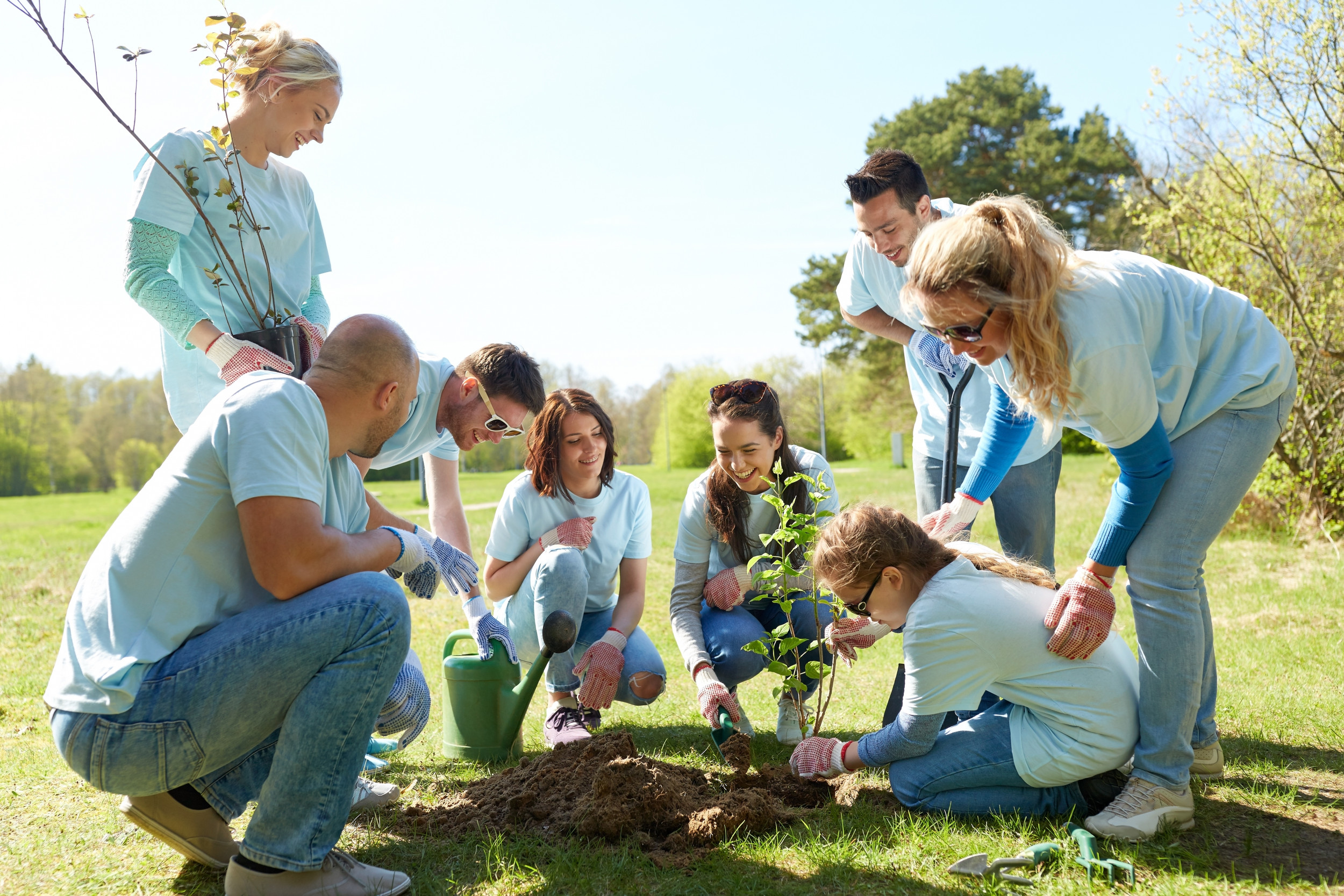 Ecology and people. Сажать деревья. Семья сажает дерево. Волонтерство высадка деревьев. Посадка деревьев с семьей.