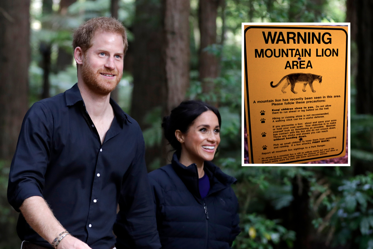 Prince Harry and Meghan Markle Mountain Lion