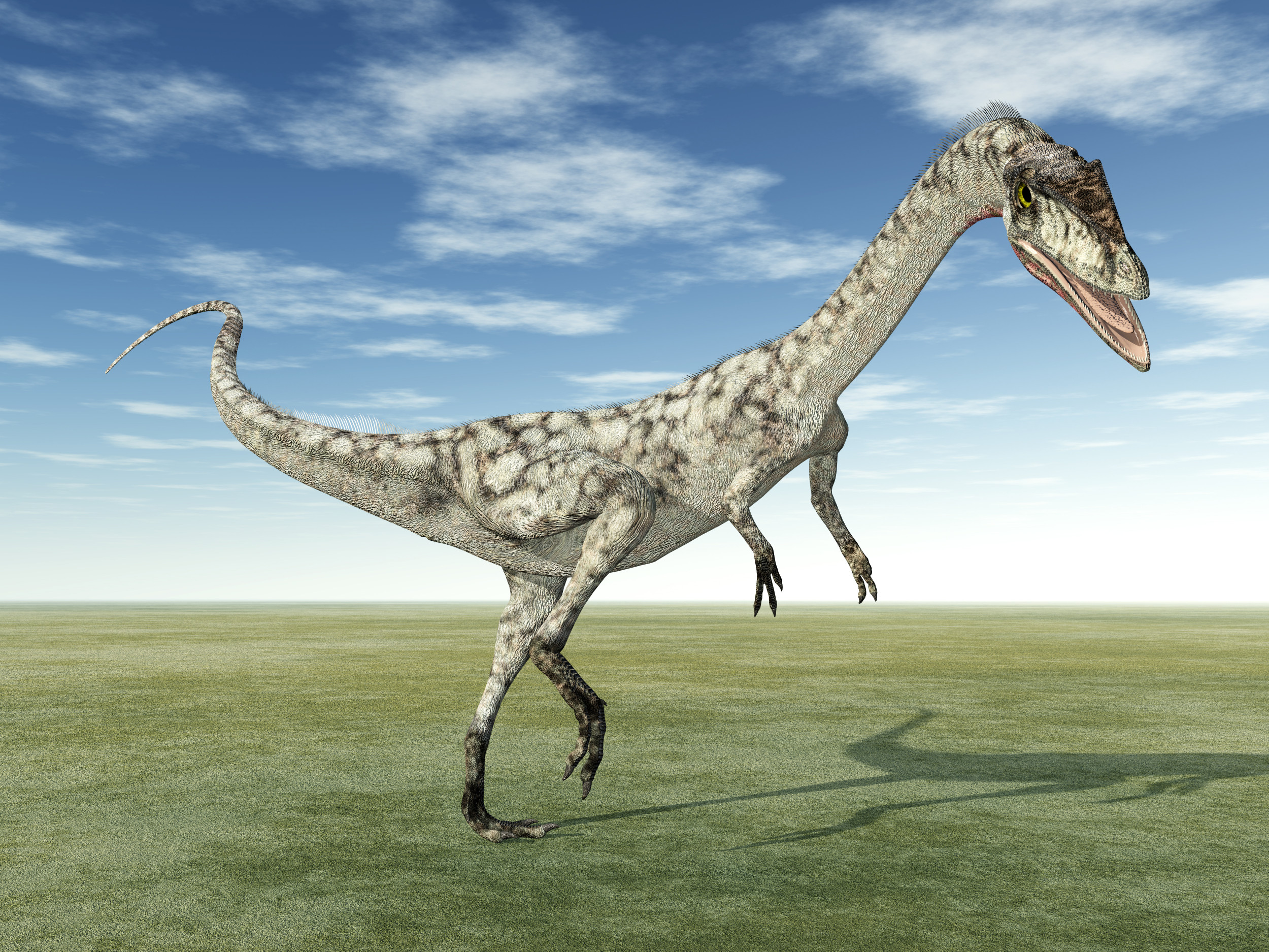 What Were The First Dinosaurs To Walk On Earth Newsweek   Dinosaur Coelophysis 