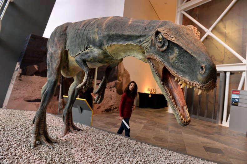 A replica of the Herrerasaurus dinosaur