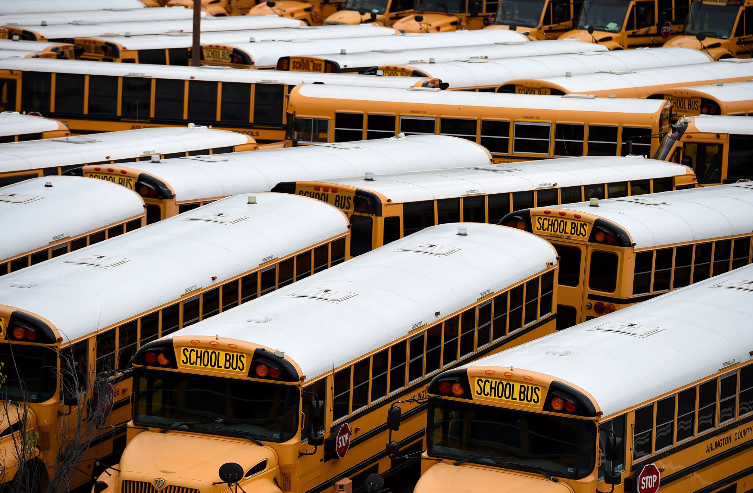 School Bus Driver Threatened Student With Kidnapping, Torture: Officials - Vimarsana News