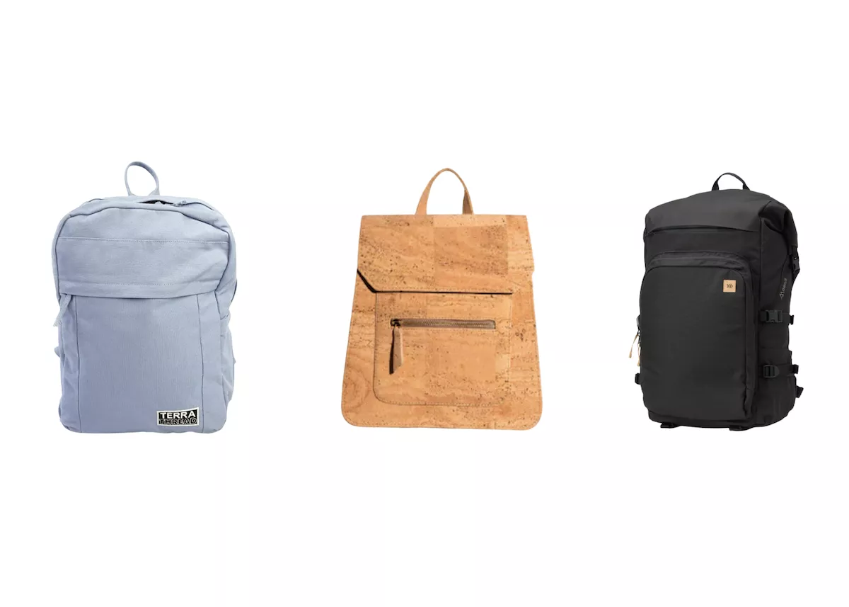 Which Brand Makes the Best Sustainable Backpack for Back to School? - Vimarsana News