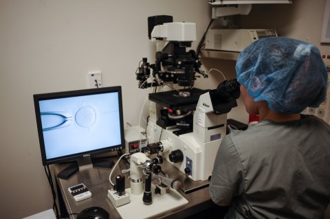 An embryologist is seen at work