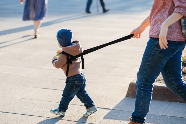 A toddler seen in a harness 